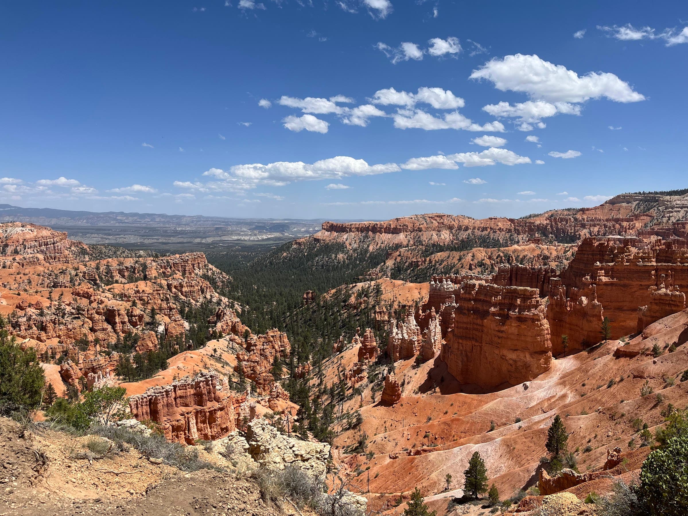 Desert landscape