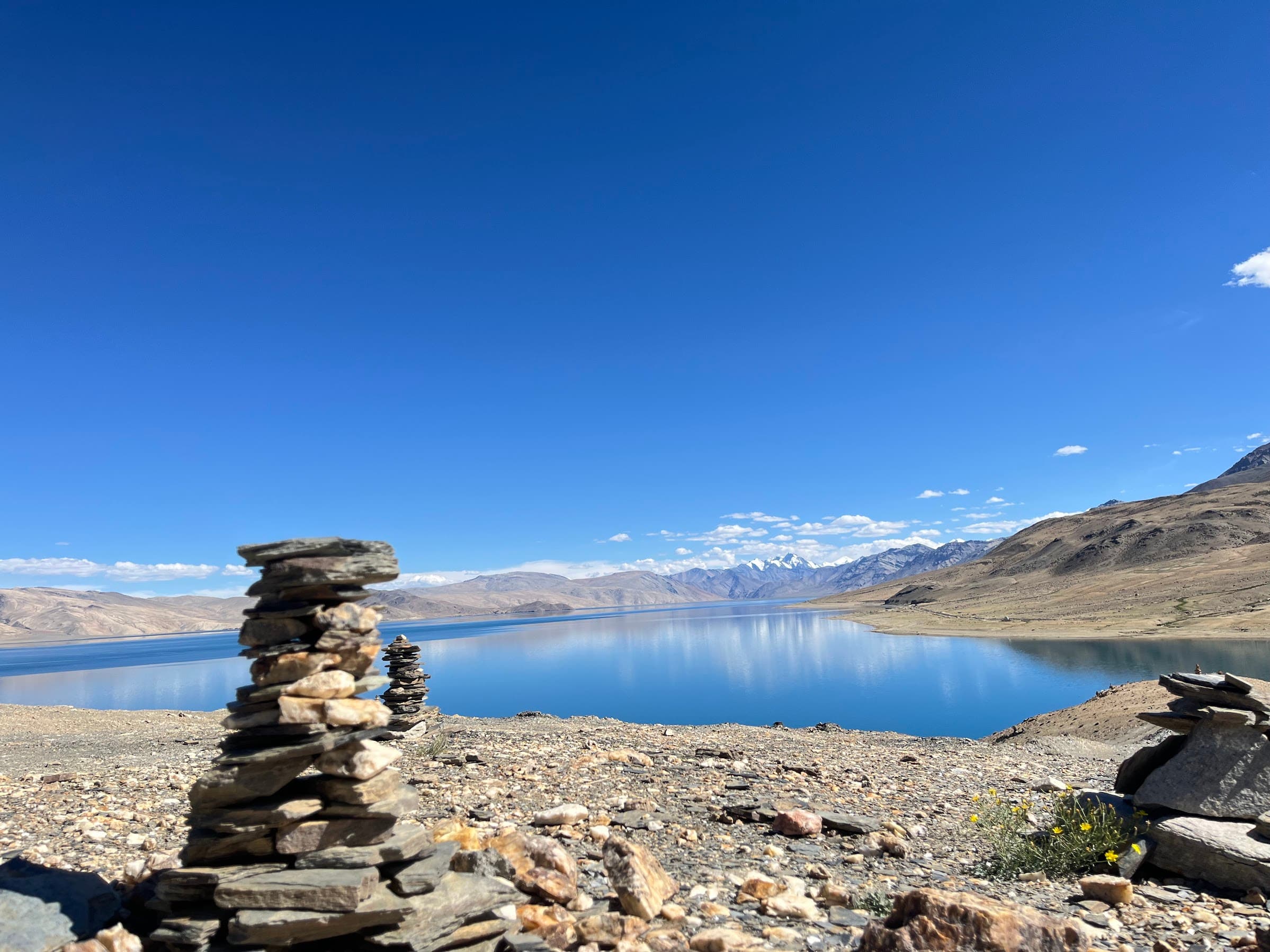 Nature in Ladakh
